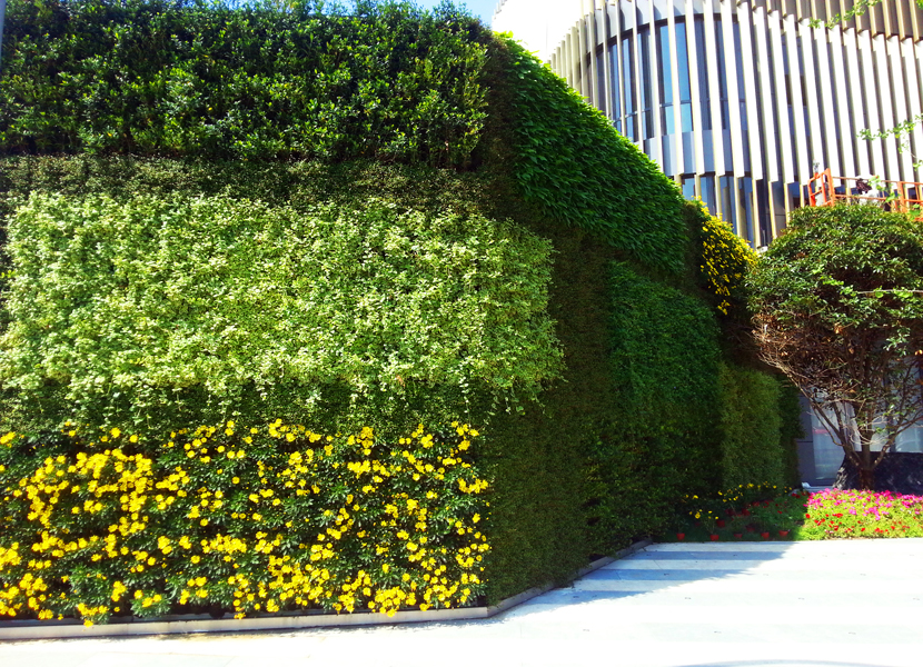 道路围墙垂直绿化