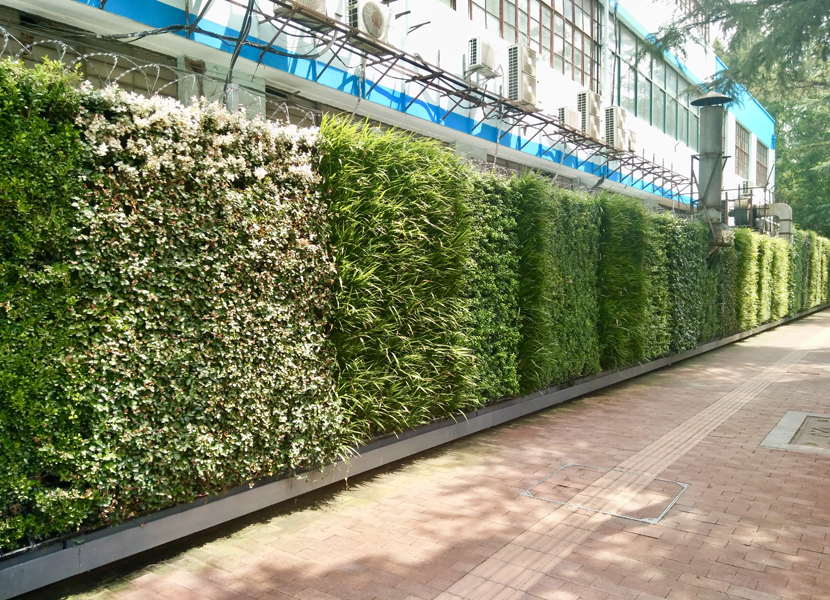 道路围墙垂直绿化返回上一级