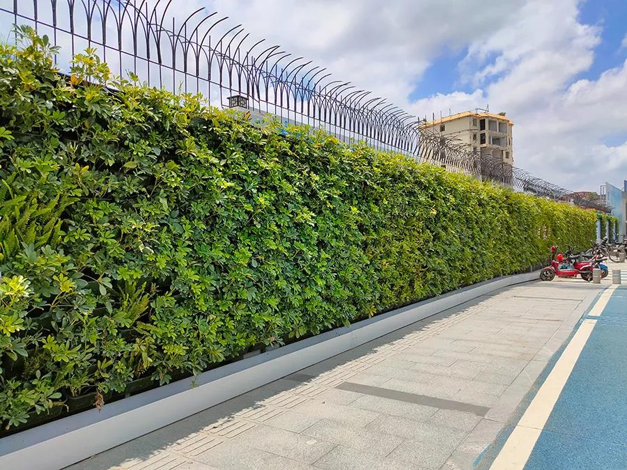 道路围墙垂直绿化返回上一级